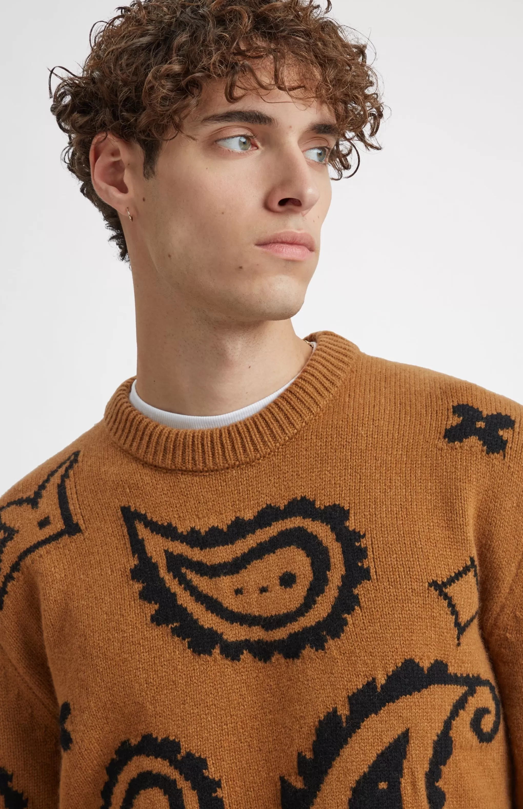 Outlet Lambswool Round Neck Jumper With Exploded Paisley Intarsia Pattern In Vicuna And Black Men Round Neck Knits