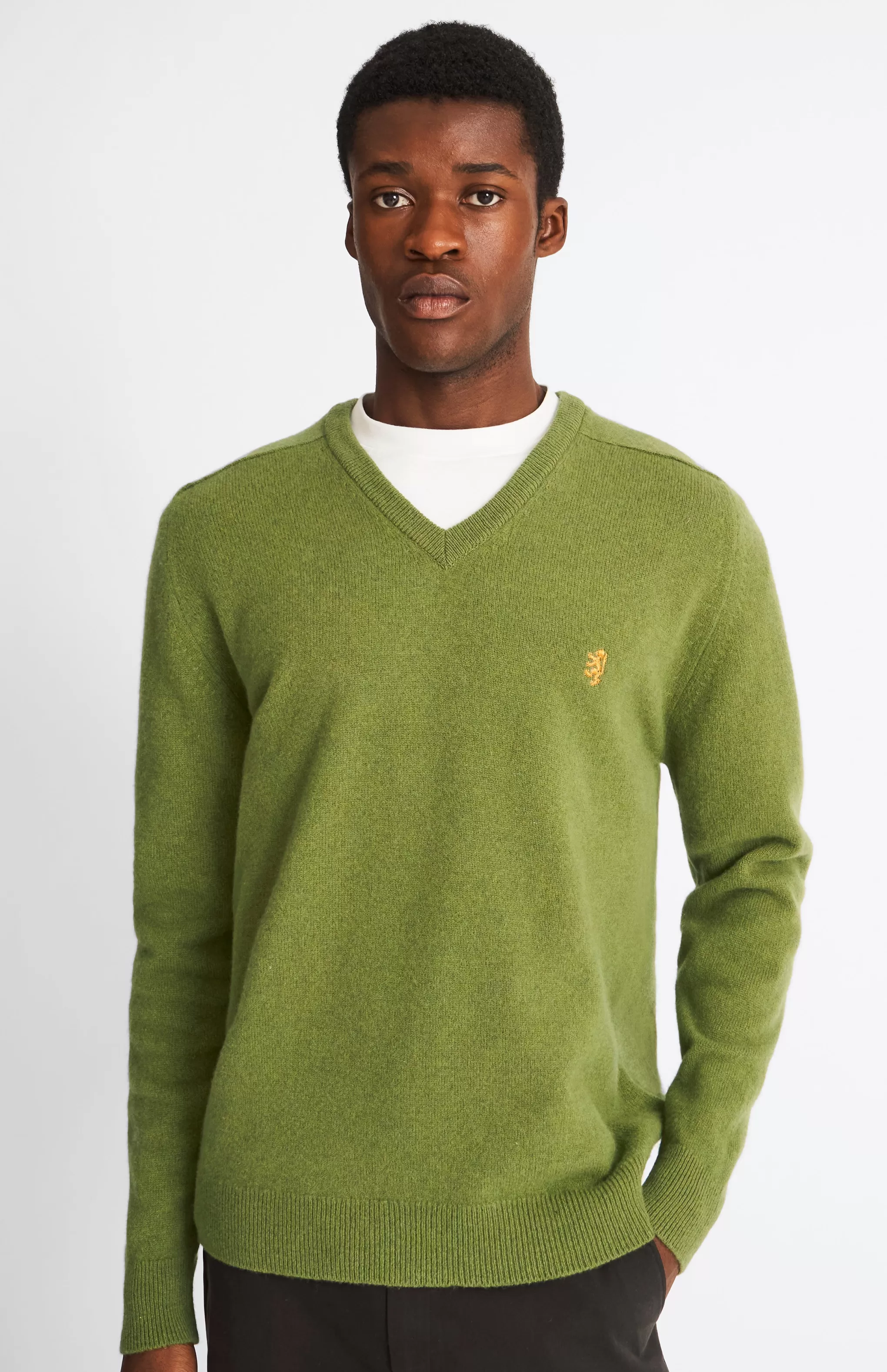 Store V Neck Lion Lambswool Jumper In Mineral Green / Mustard Sand Men Gifts for Men