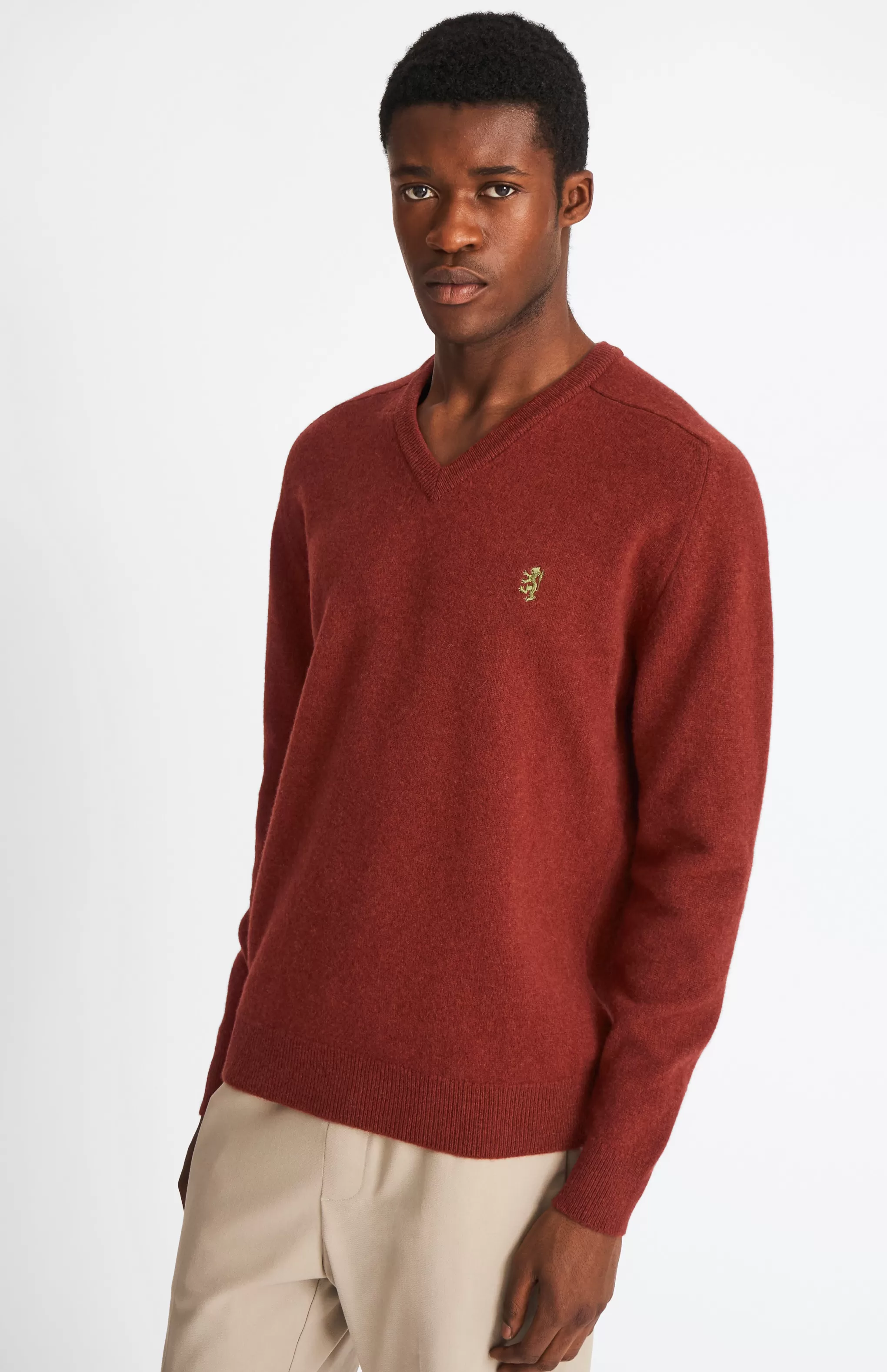Fashion V Neck Lion Lambswool Jumper In Red Rust / Mineral Green Men Gifts for Men